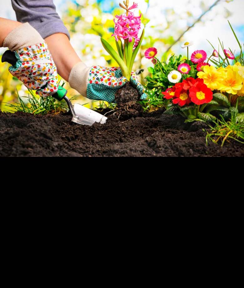 Çtn Garden | Bakım ve Uygulama